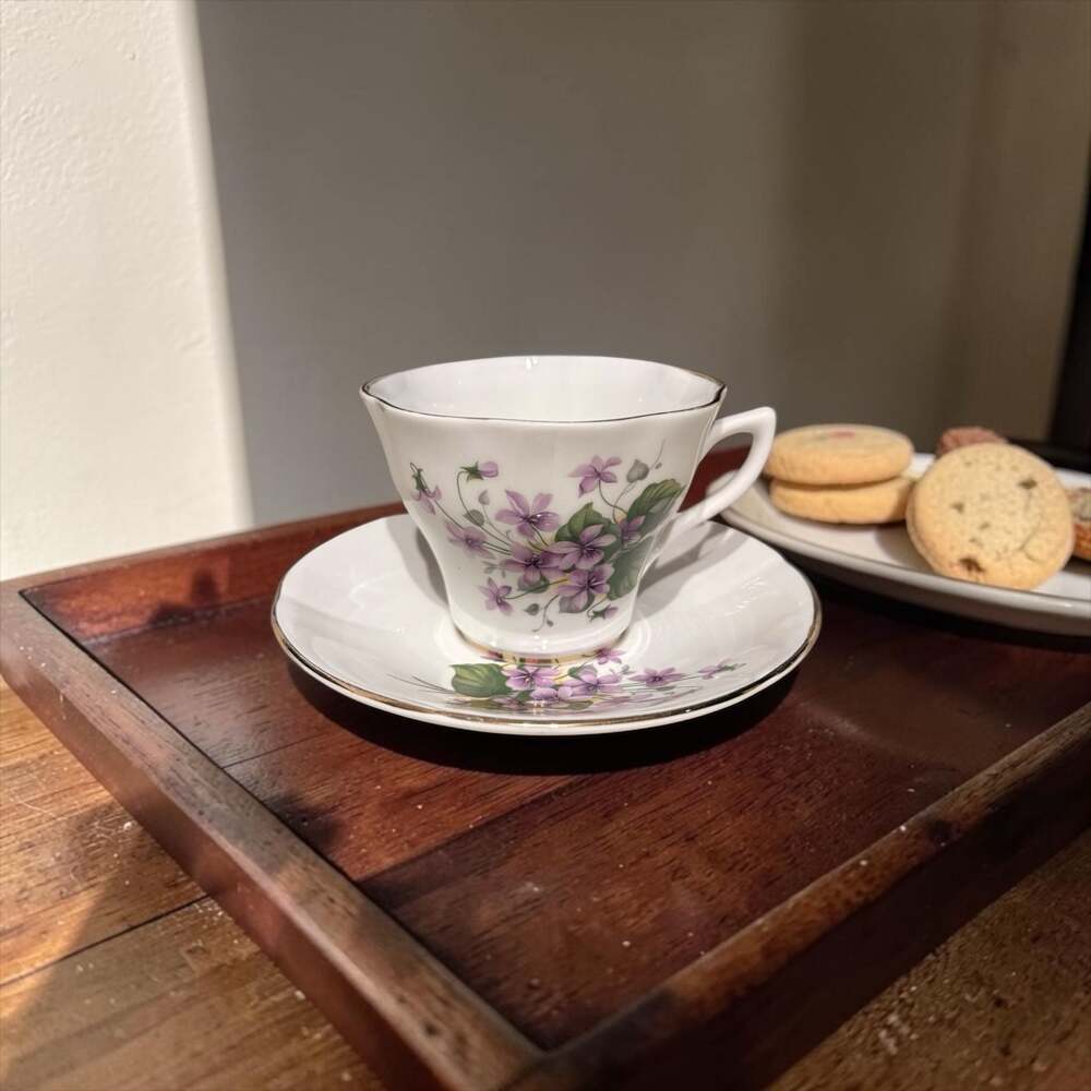 Vintage Rosina Fine Bone China Violet Tea Cup and Saucer Set